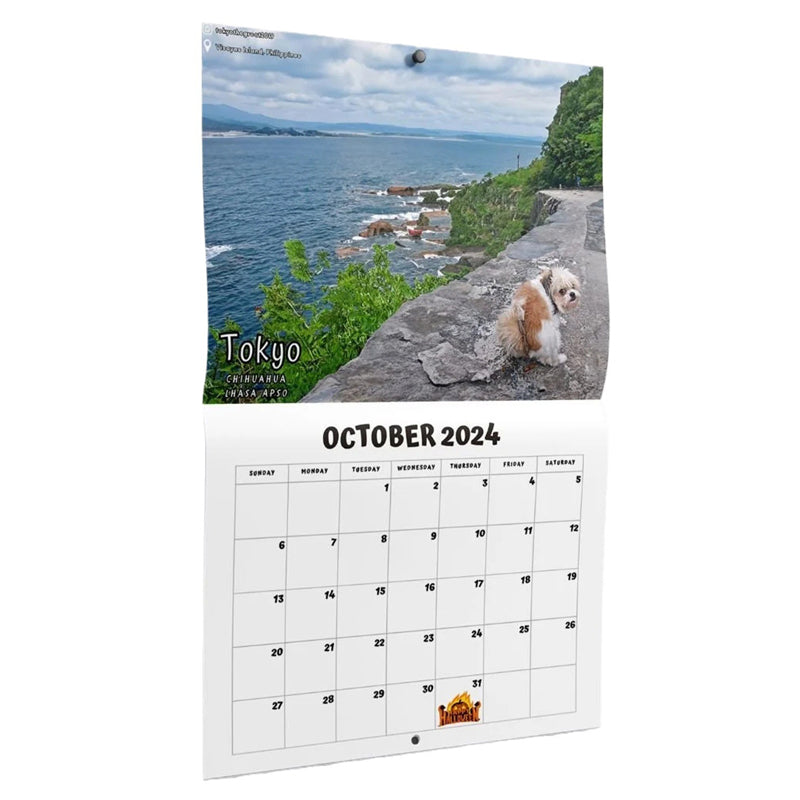 Voorverkoop >> Kalender 2024 van honden die hun behoefte doen op mooie plekken